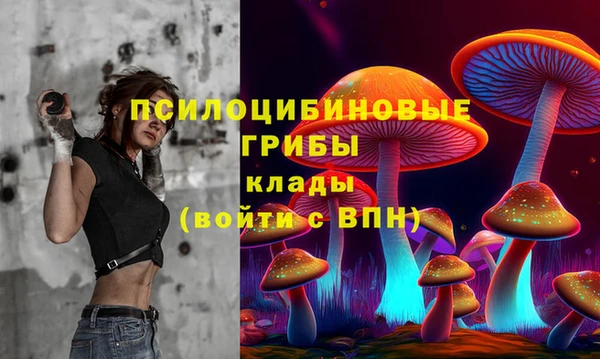 эйфоретик Верхний Тагил